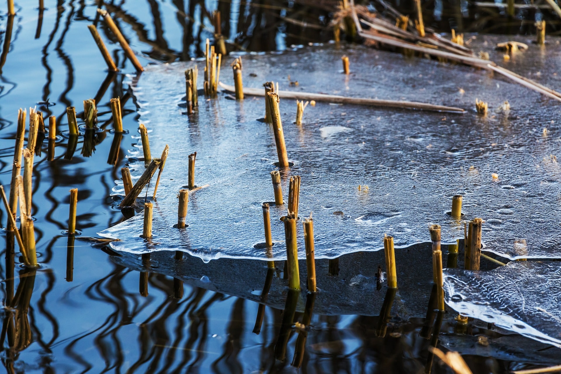 resilienz-kruste-eis