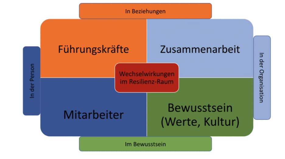 resilienzmodell-ursula-niehaus Resilienzmodell Ursula Niehaus