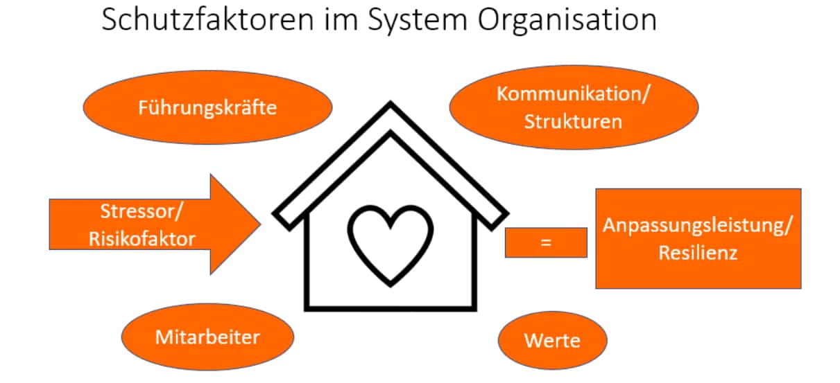 system-organisation-ursula-niehaus