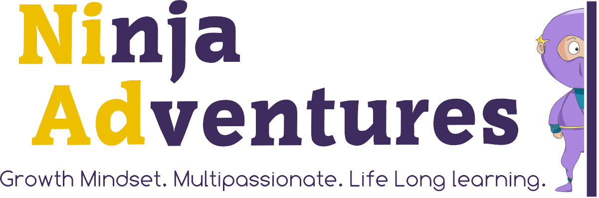 Logo Ninja Adventures