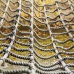 psychologische sicherheit als netz