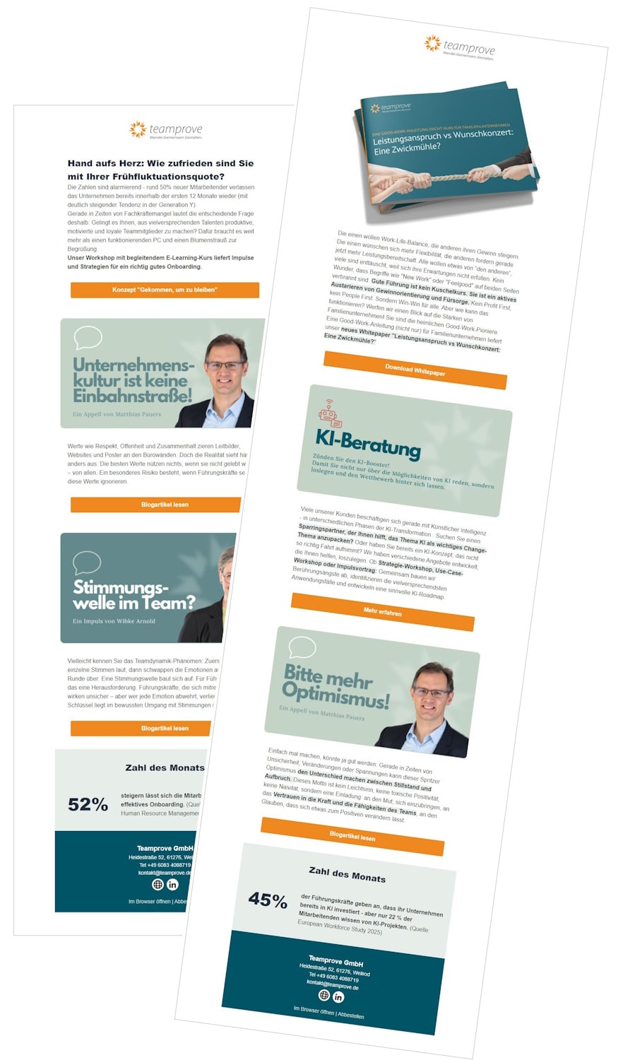 Newsletter Teamprove